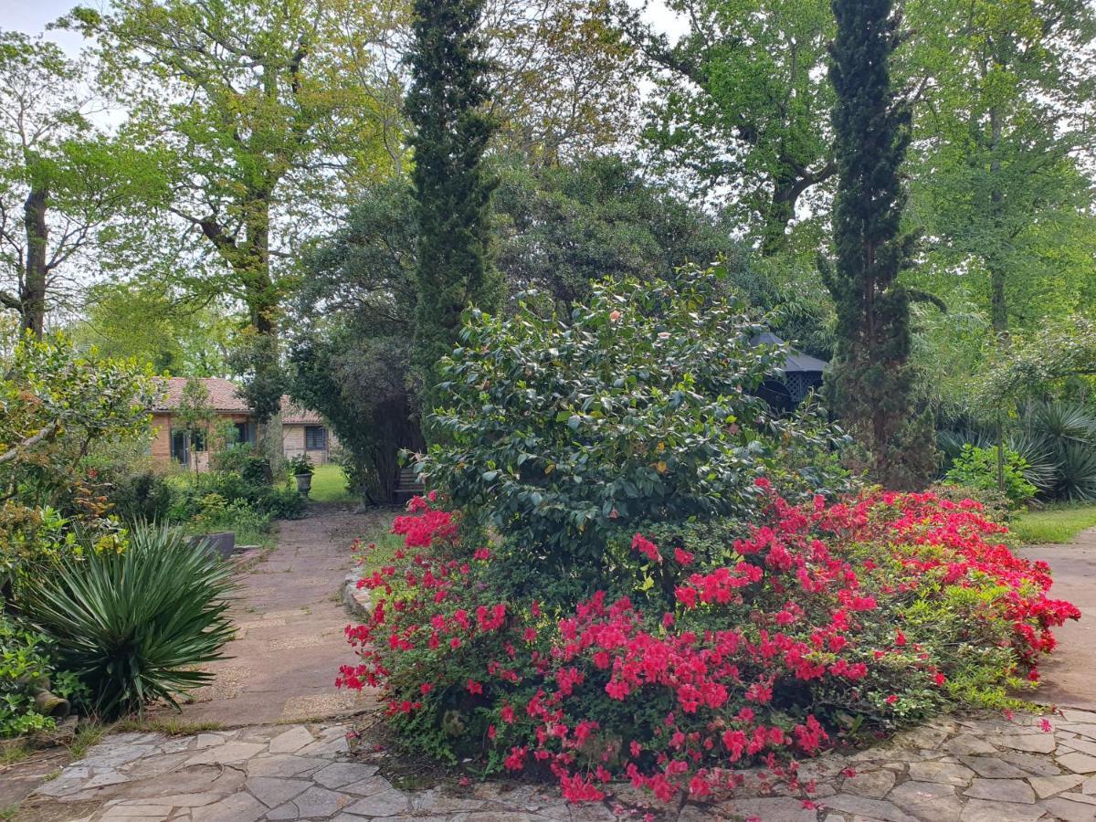 Manoir De Tireveste Lesperon  Exteriér fotografie